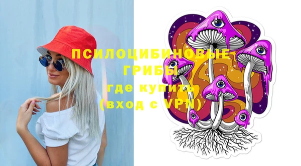 крисы Белоозёрский